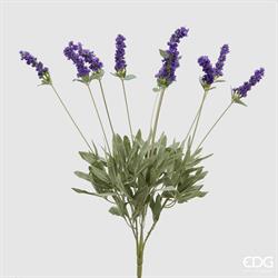 LAVANDA CESP.X10 H52 LAVANDA