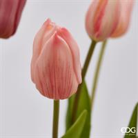 TULIPANO OLAND.RAMO H73 ROSA